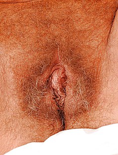 Большая волосатая пизда зрелой мамы