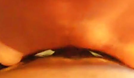 Уверенно села на член мужа